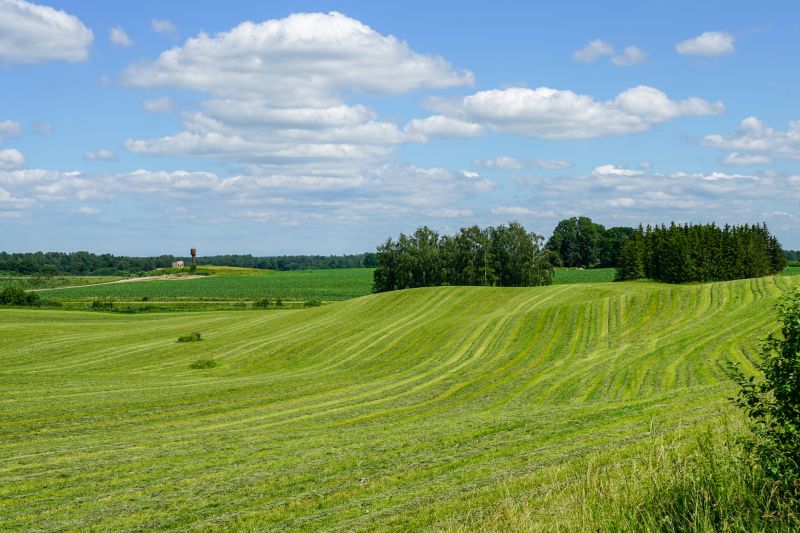 Pasture Grass Mowing