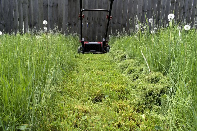 Pasture Grass Mowing
