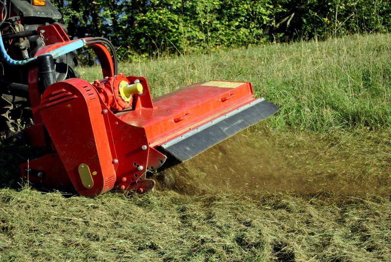 Land Clearing in Action