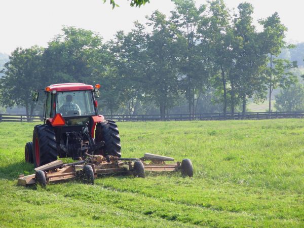 Pasture Maintenance