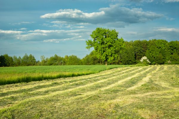 Farm Mowing in Acworth