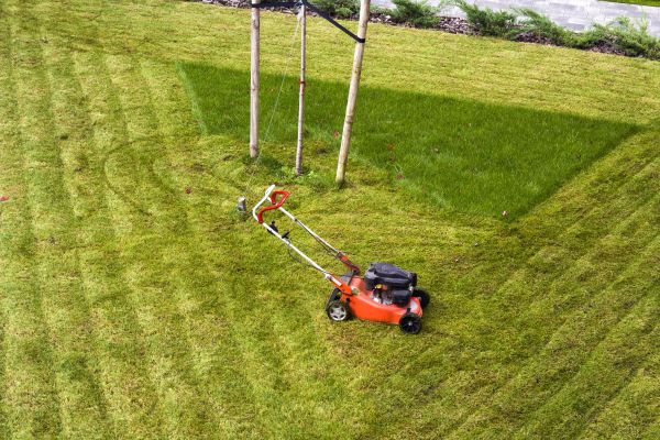 Field Grass Cutting