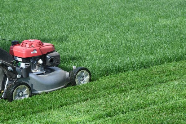 Abandoned Property Mowing